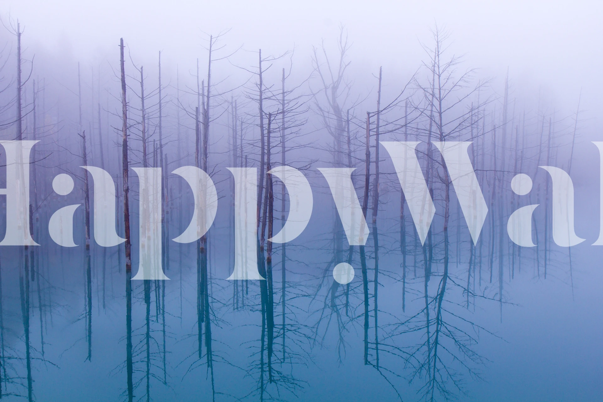 Misty Blue Pond tapet i ett rum