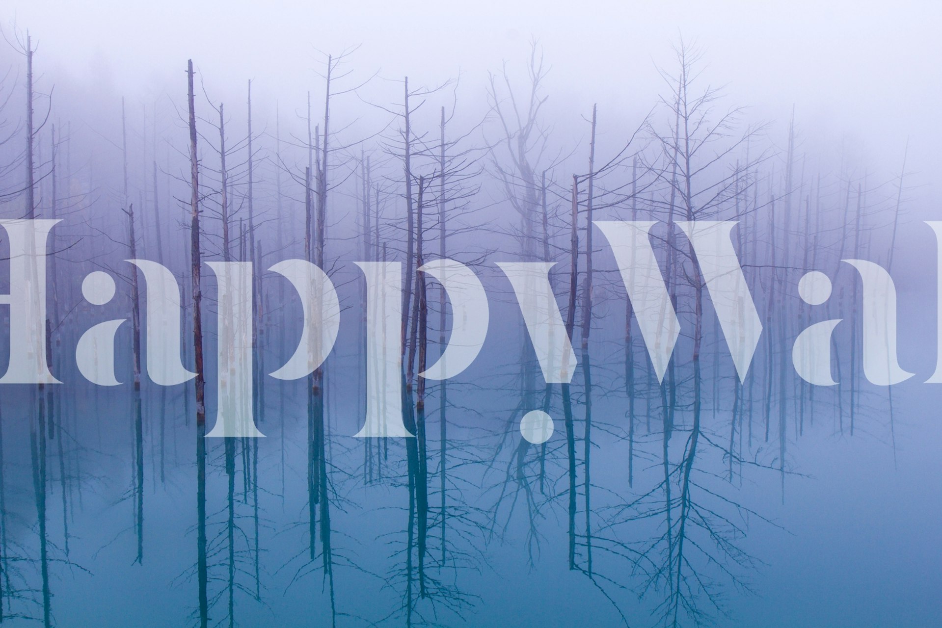 Misty blue pond with ghostly trees reflecting on water wallpaper