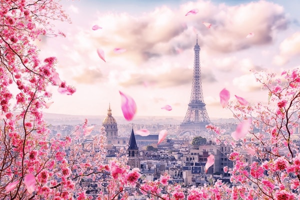 Pink Paris