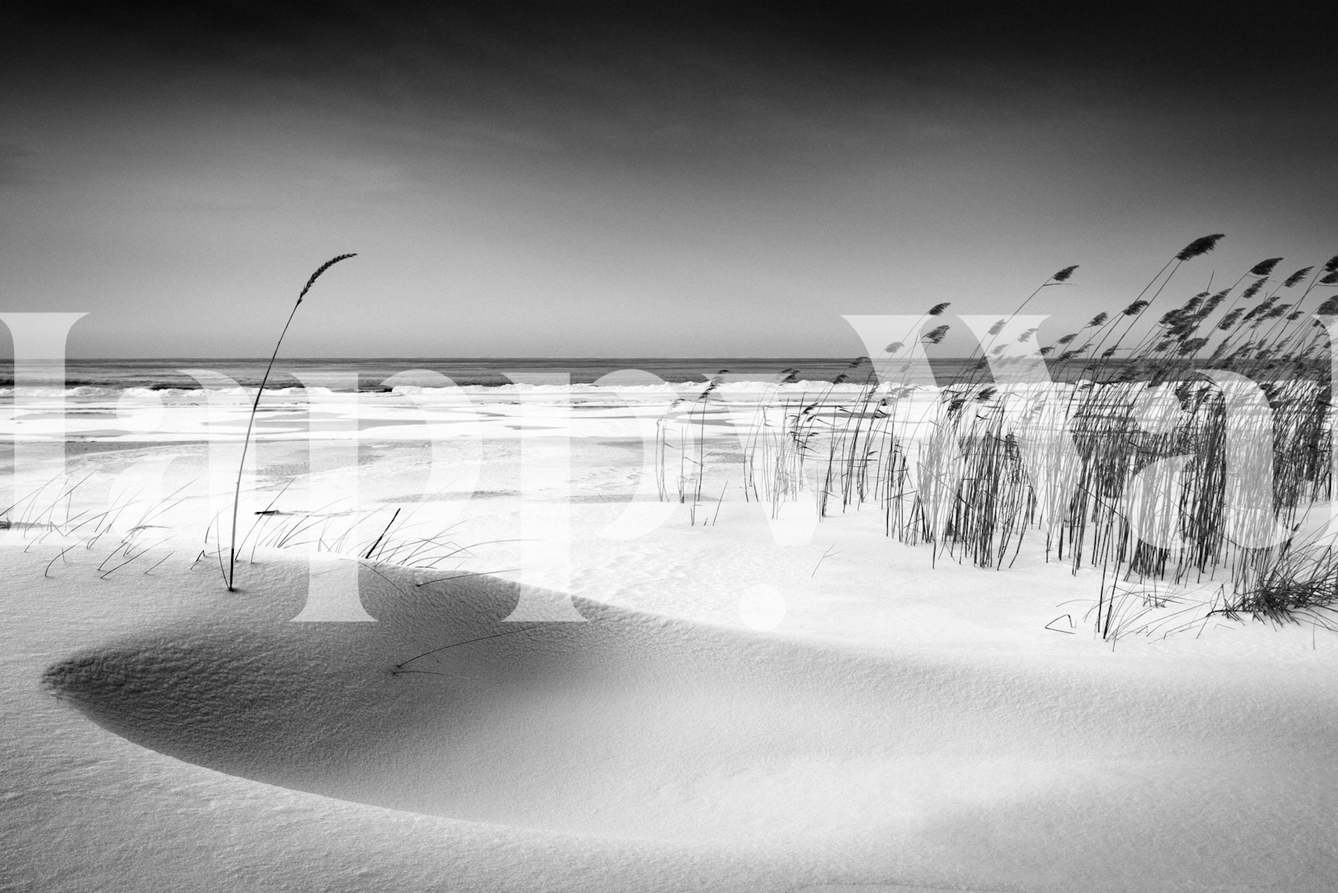Black and white beach with grass in foreground wallpaper