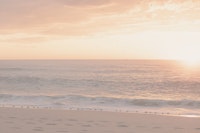BEACH SUNSET & BIRDS by MS tapeta