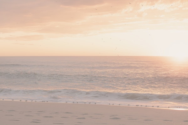 BEACH SUNSET & BIRDS by MS