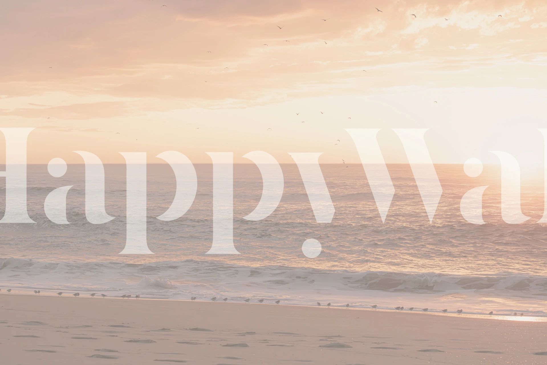 Beach sunset with birds, soft pastel colors, scenery wallpaper