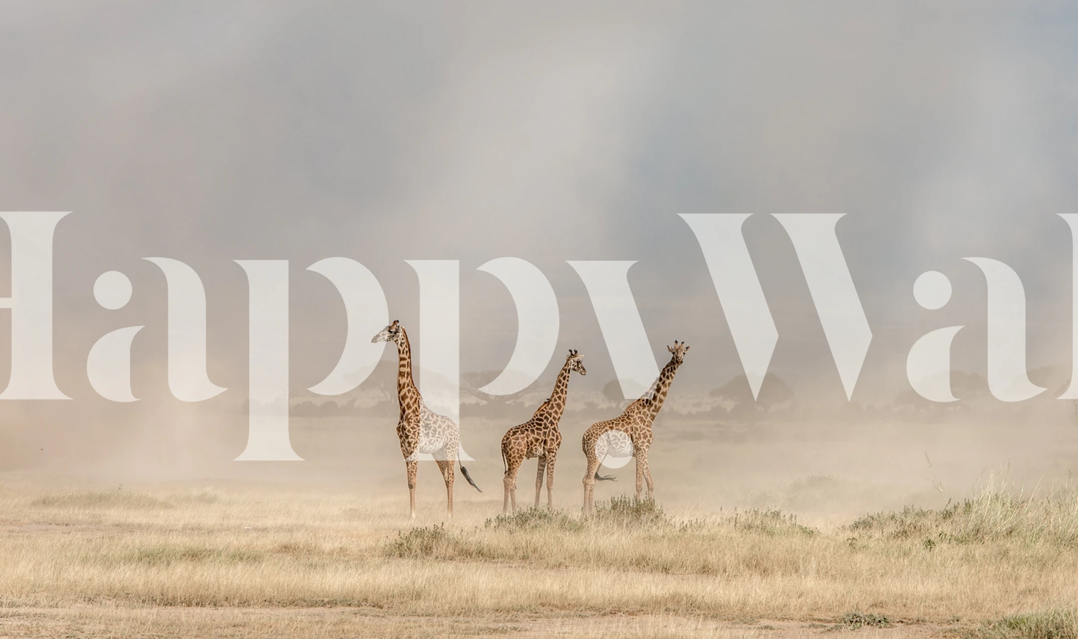 A wall mural depicting giraffes in the dusty Amboseli landscape with dust devils in the background.