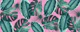 Floral harmony 3