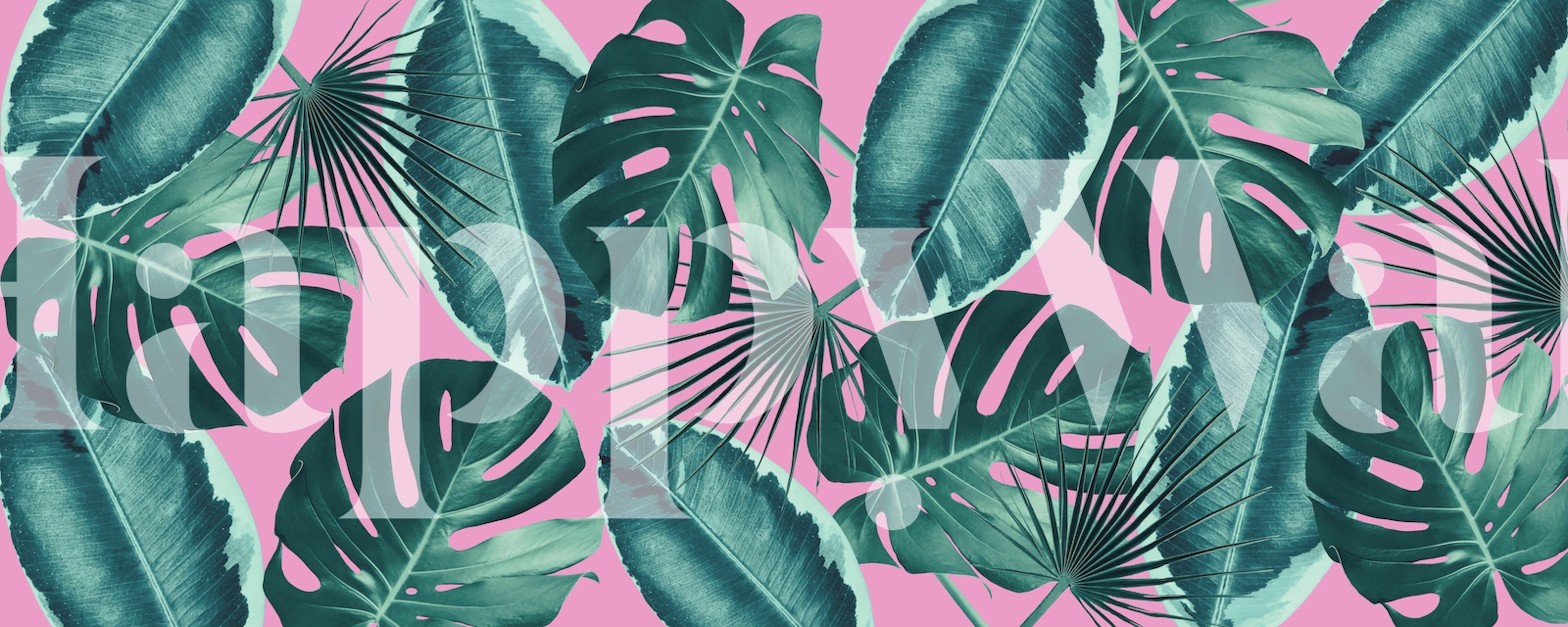 Papel de parede de folhas tropicais rosa e verde