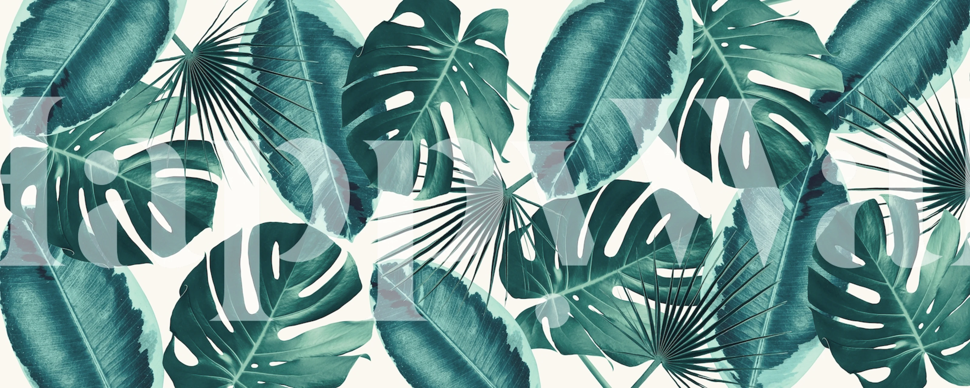 Carta da parati Floral harmony 4 in una stanza luminosa