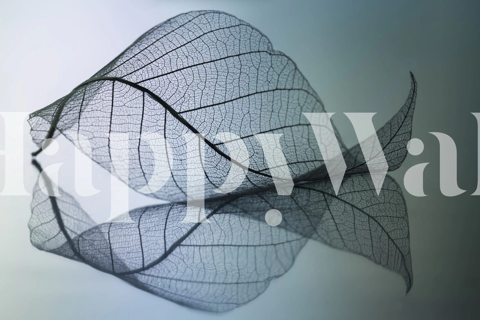 Papier peint Curvaceousness dans une pièce moderne