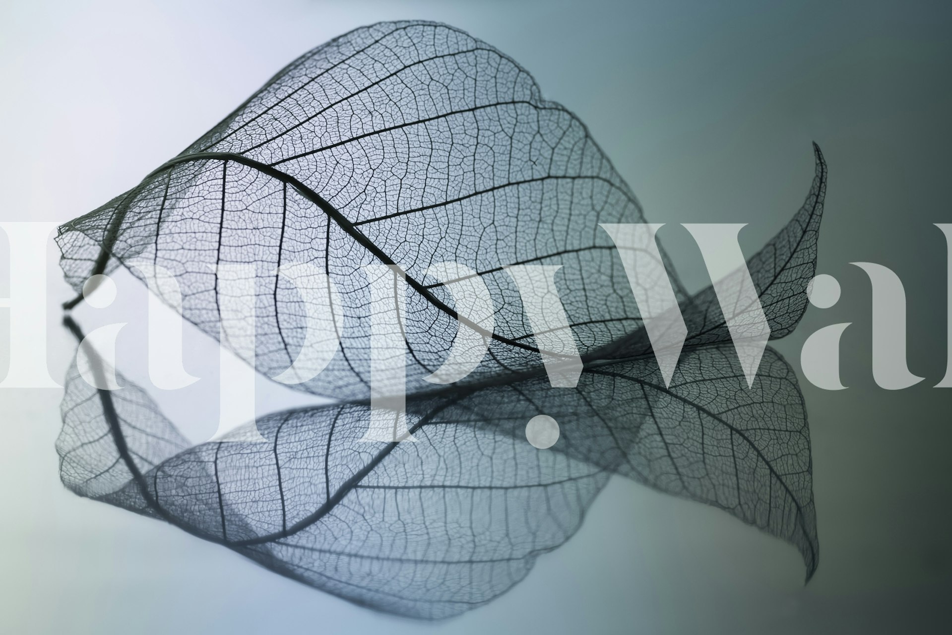 Layered leaf pattern in blue and gray, elegant wallpaper