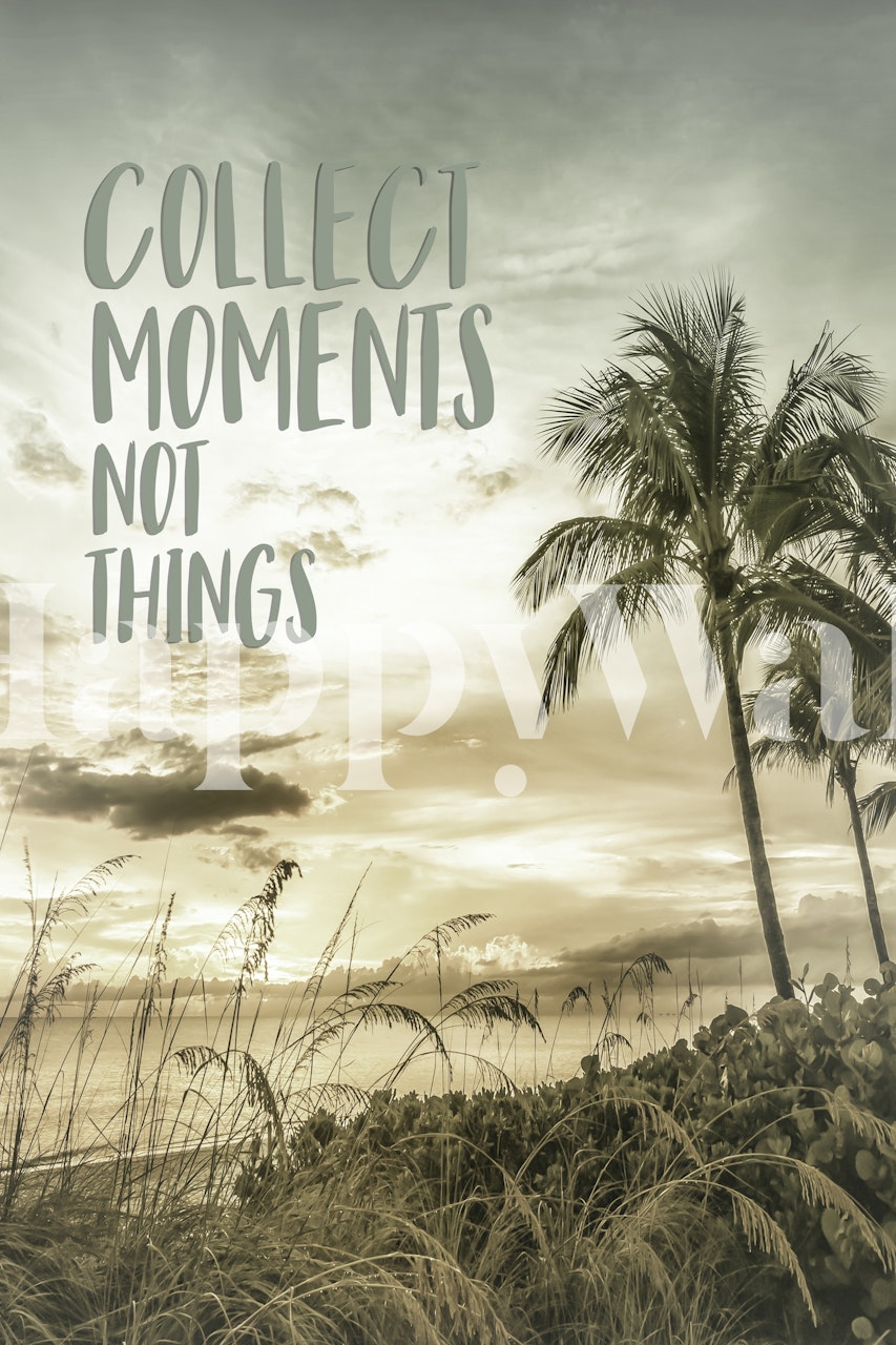 Tropical palm trees silhouette against a sunset background wallpaper