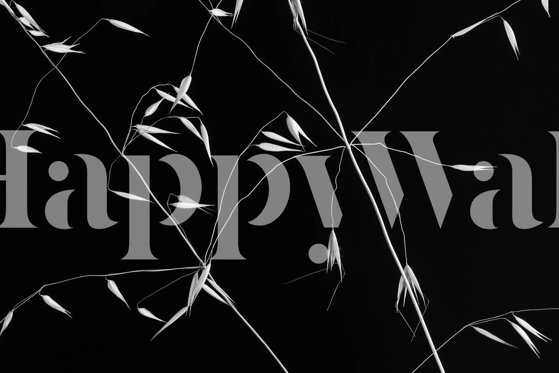 Crossed lines wallpaper display in a room