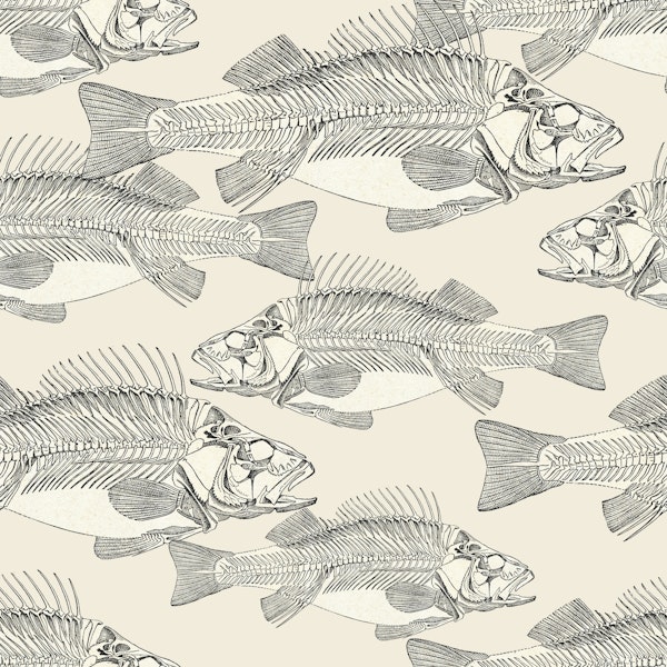Vintage Fishes