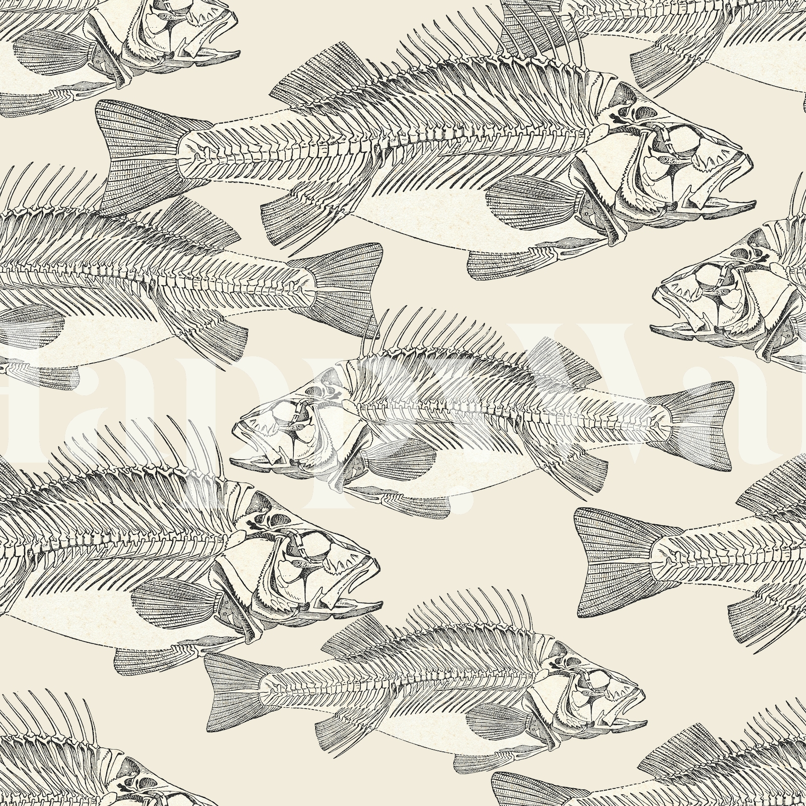 Vintage Fishes Wallpaper - Buy Beautiful Wallpapers Online | Happywall