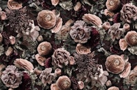 Velveteen Moody Baroque Flower Fantasies wallpaper