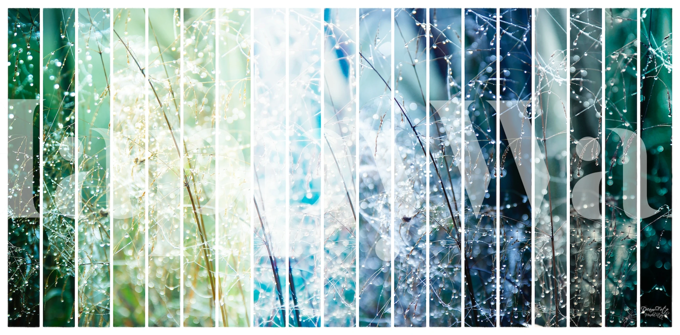 Papel De Parede Magic Galaxy Plants Em Um Quarto