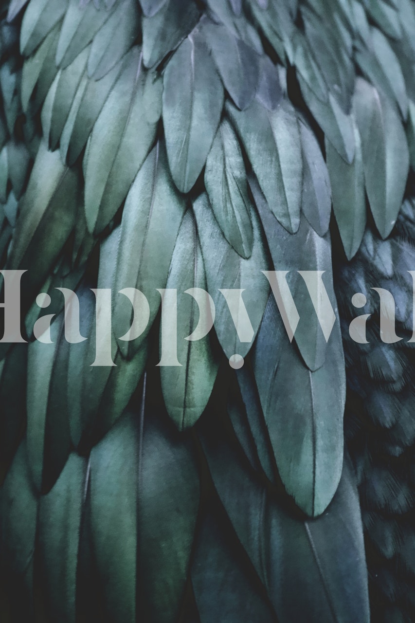 Close-up of feathers in shades of black, teal, and green, creating an elegant wall mural