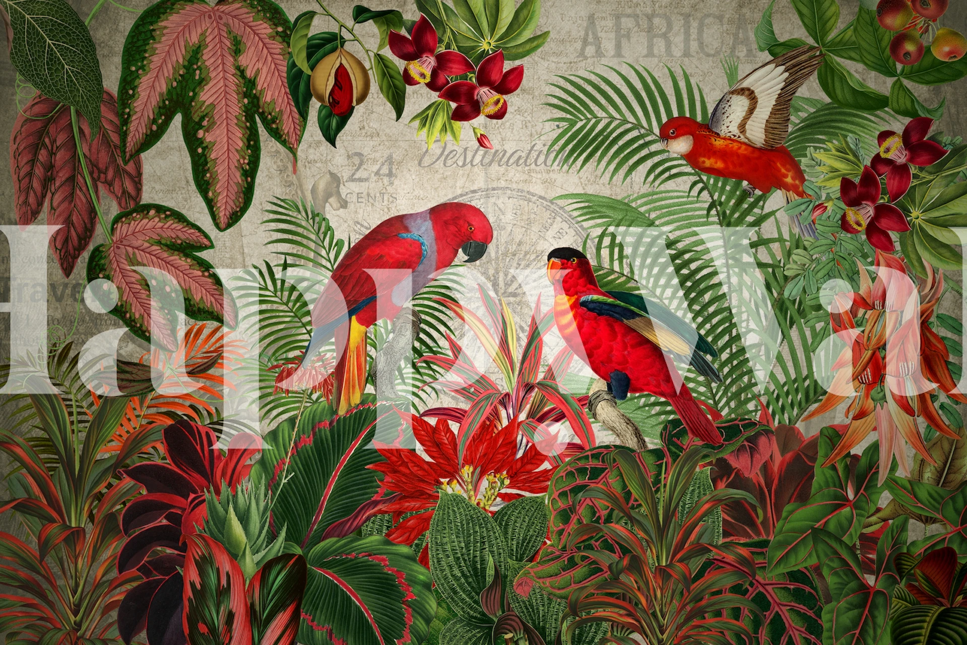 Vintage rainforest wallpaper met rode papegaaien