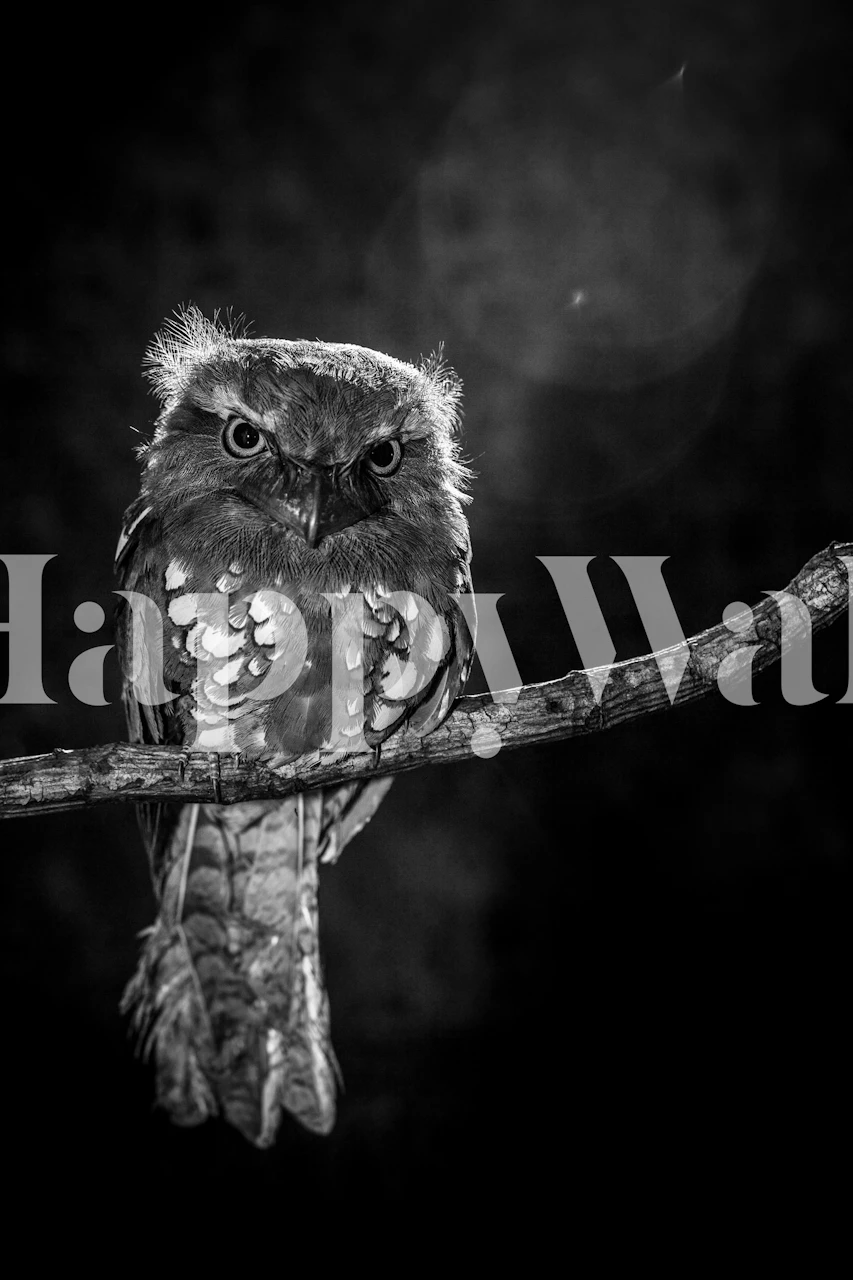 Alone in the night behang in een kamer