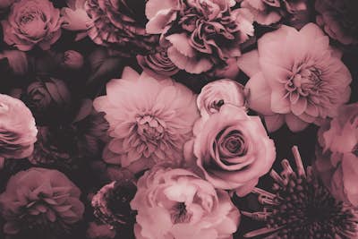 Τοιχογραφία