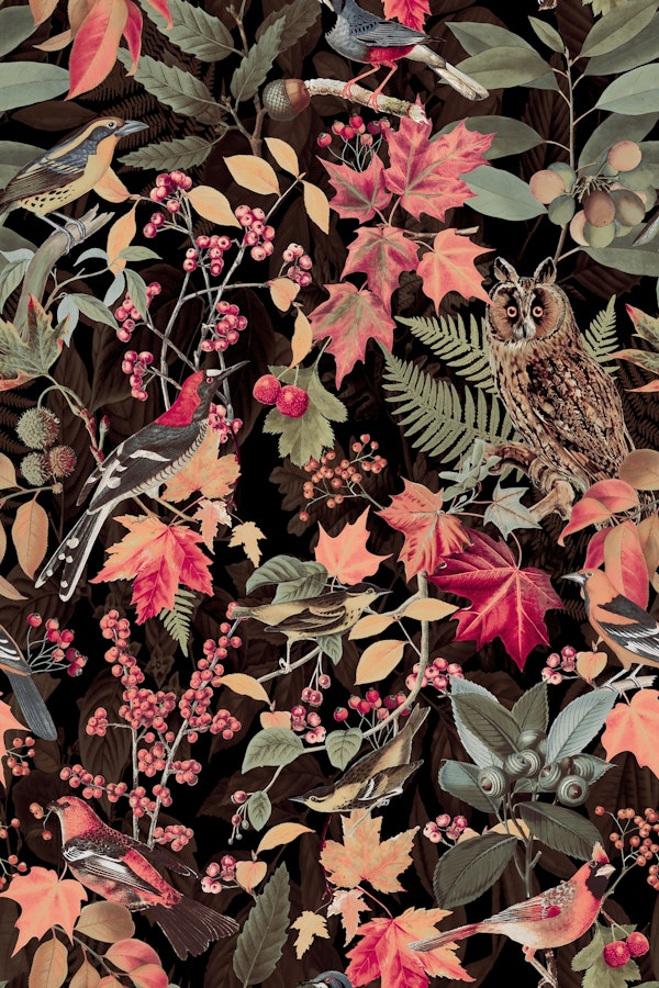 Autumn Owl Impression Red Green On Black