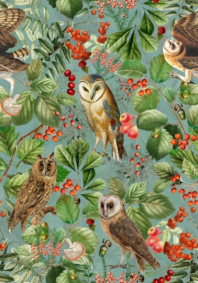 Pattern