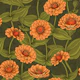 Orange Zinnia flowers in green-yellow