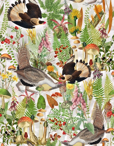 Pattern