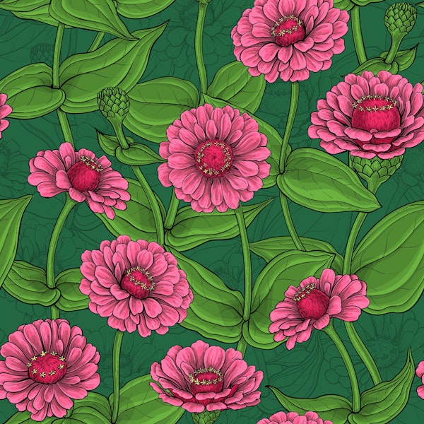 Pink Zinnias on dark green