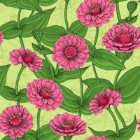 Pink Zinnias on light green tapete