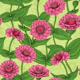 Pink Zinnias on light green