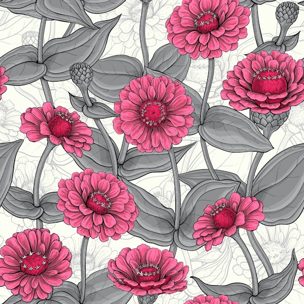 Pink Zinnias in gray and white