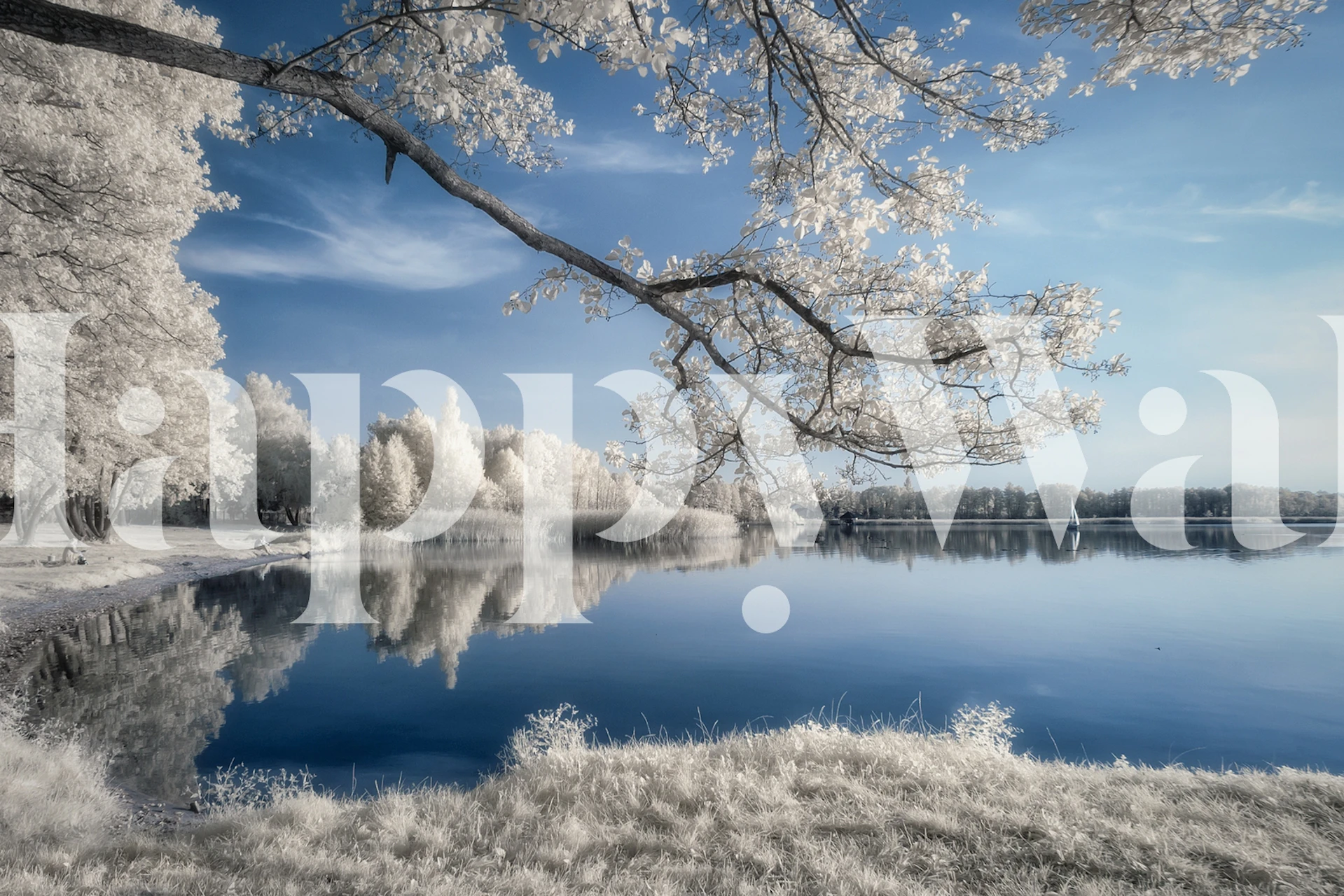 Papier peint paysage hivernal d'IRenkowo avec des arbres enneigés et un lac réfléchissant
