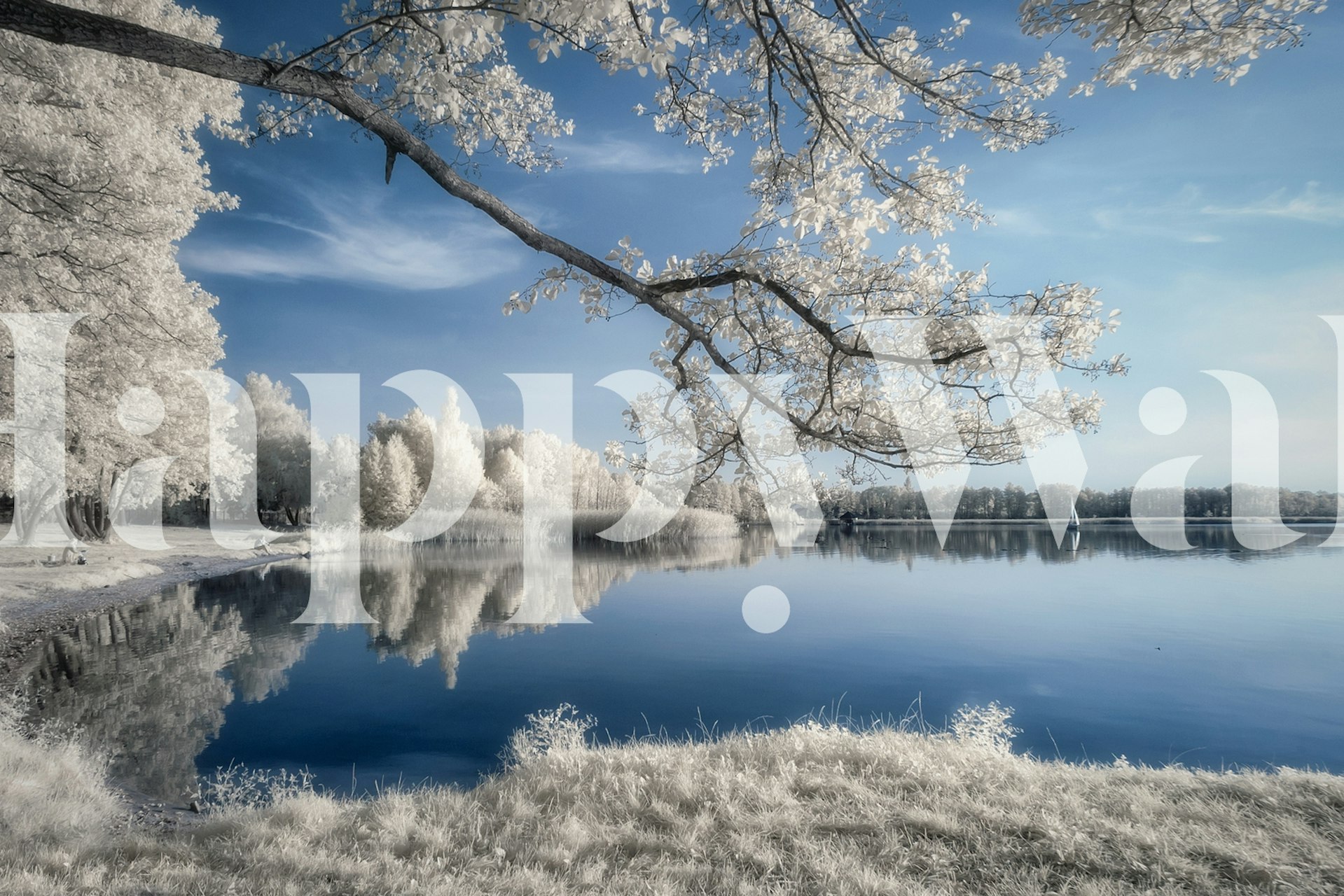 Fototapeta Zimní krajina IRenkowo se zasněženými stromy a reflexním jezerem