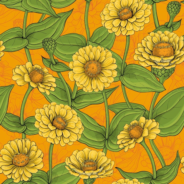 Yellow Zinnias on orange
