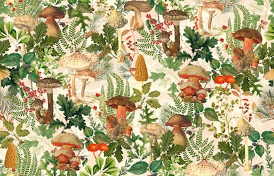 Pattern