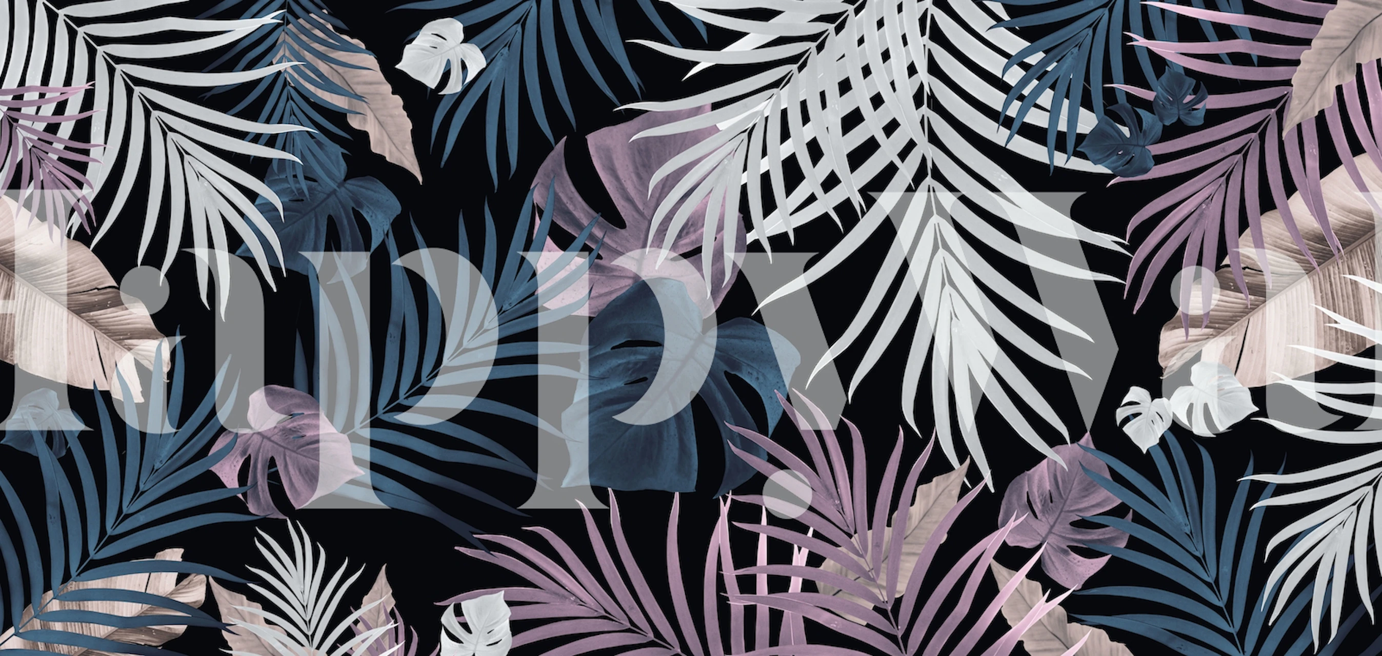 Design tapety tropických džunglových listů