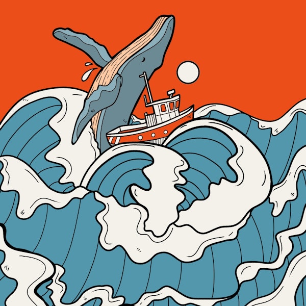 The choppy ocean waves