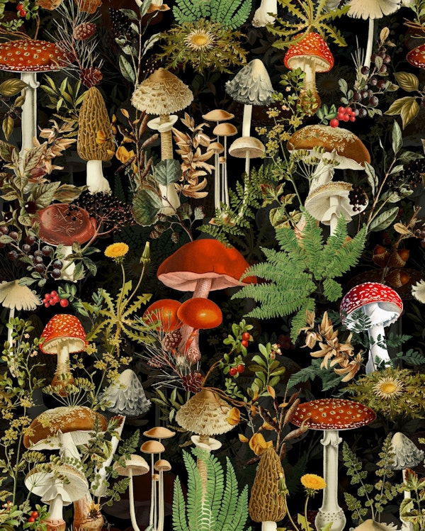 Mysterious Gothic Autumn Botanical Forest