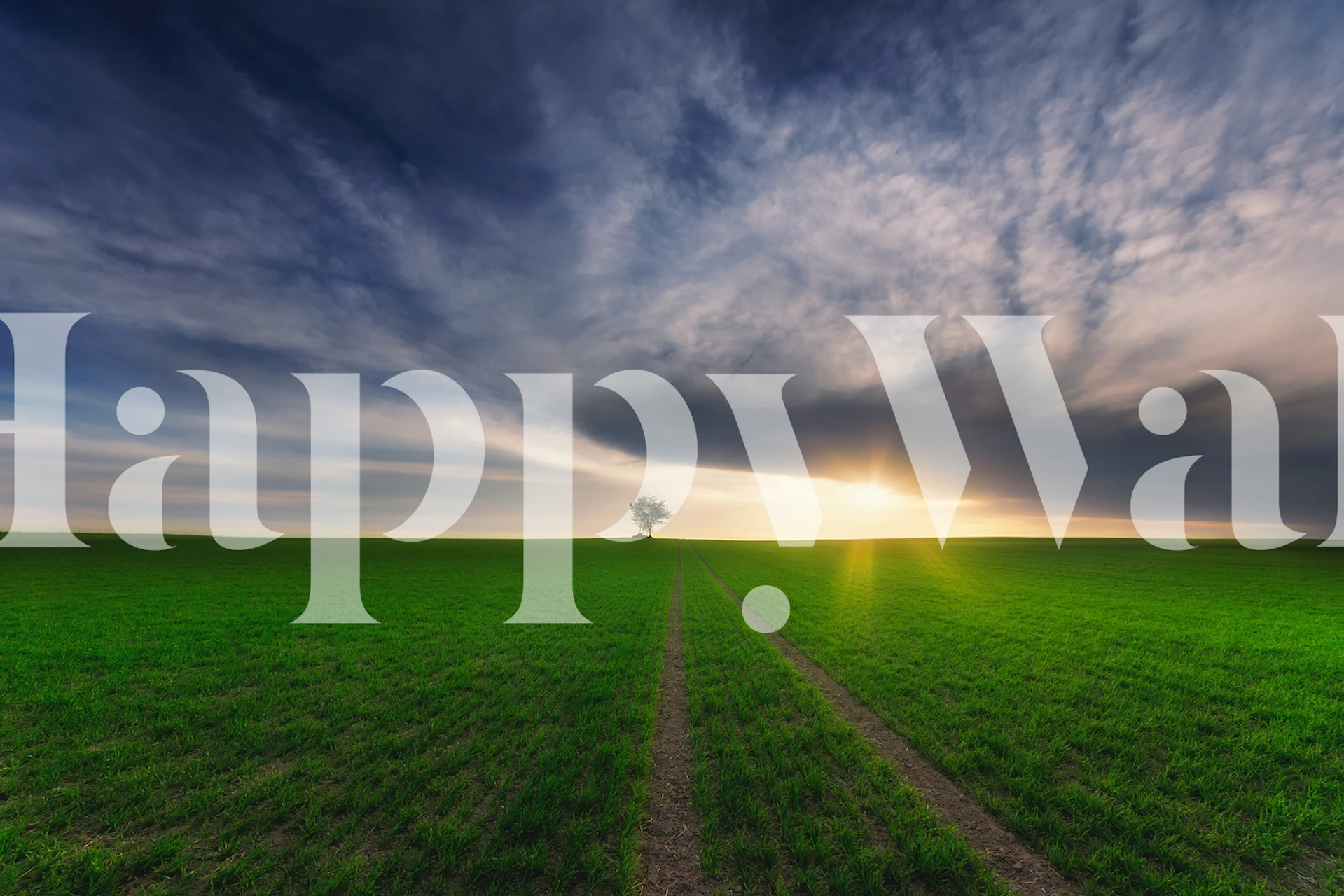 Loner in the Sun wallpaper displayed in a room