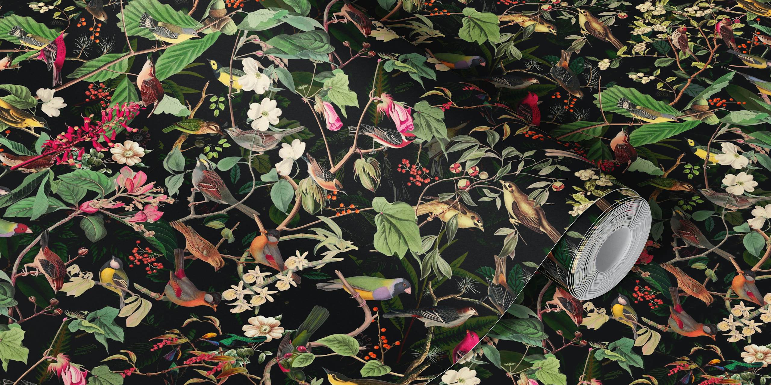 Papier peint mural d'illustration botanique vintage avec des oiseaux et des plantes sur fond noir