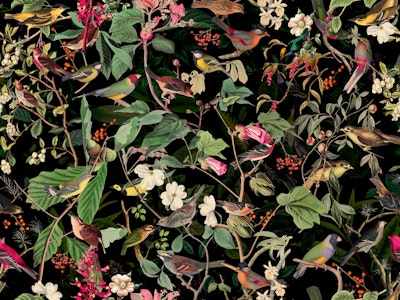 Pattern