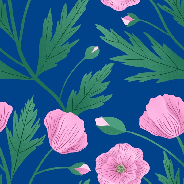 Pink Poppies on Blue