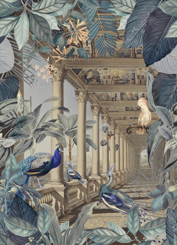 Lost Jungle Place With Peacocks