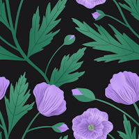 Purple Poppies on Black carta da parati