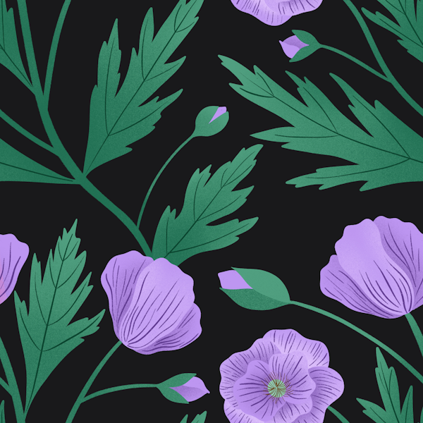 Purple Poppies on Black