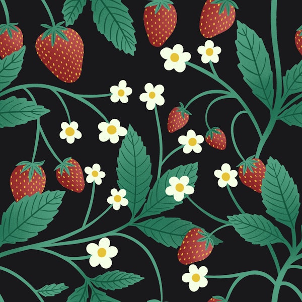 Retro Strawberries on Black