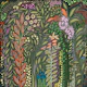 Strelitzia Plants