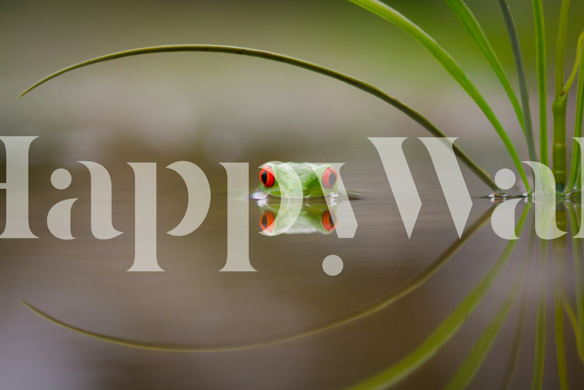 Ταπετσαρία Beauty of Reflection σε ένα δωμάτιο