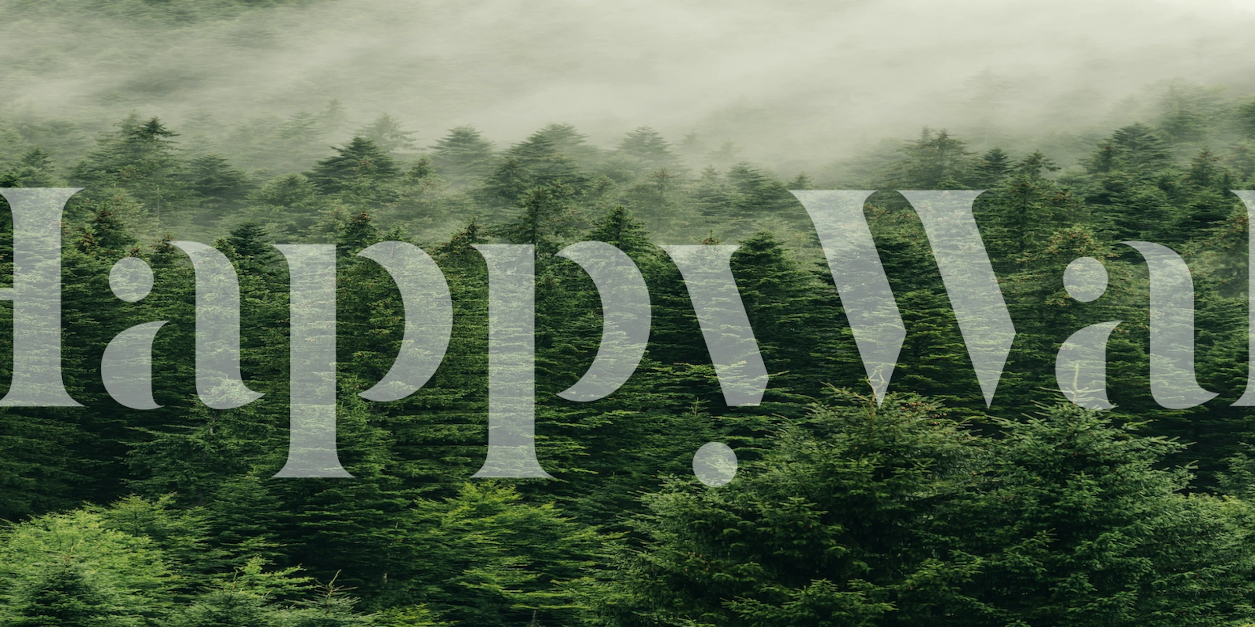 Lush green forest wallpaper with misty texture and depth