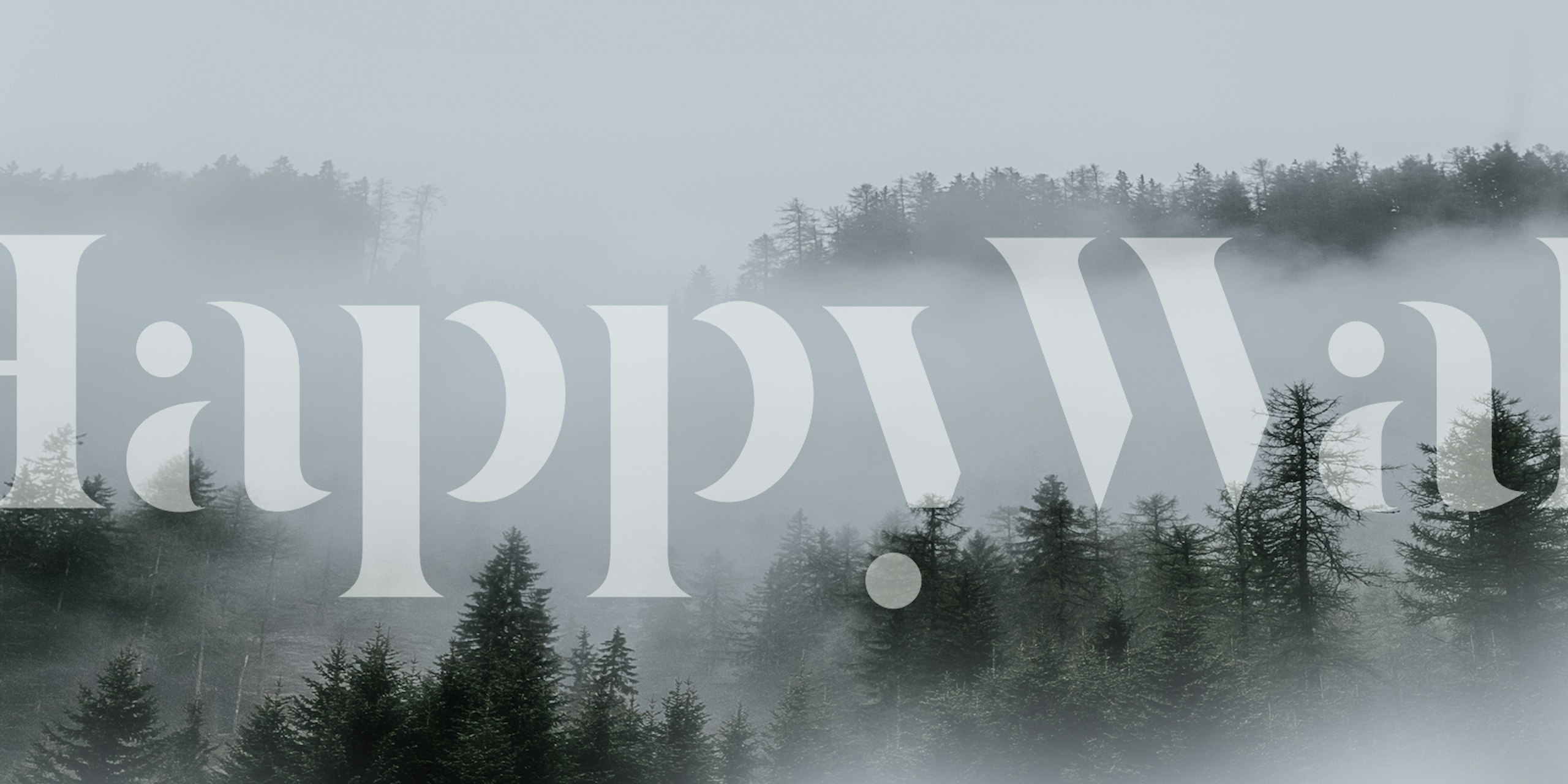 Misty forest with green trees and soft grey fog wallpaper
